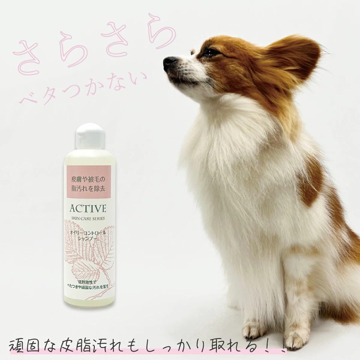 犬用シャンプー　アジル　バイタルシャンプー　オイリーコントロールシャンプー Amazon | 【アジル】オイリーコントロールシャンプー（犬・猫用）低